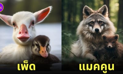 aiart ภาพสัตว์โลกที่ผสมข้ามสายพันธุ์กัน (Animal Hybrids)