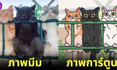 jojovilll เปลี่ยนภาพมีมให้กลายเป็นการ์ตูนสุดคิวท์