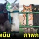 jojovilll เปลี่ยนภาพมีมให้กลายเป็นการ์ตูนสุดคิวท์