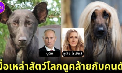 ปก 2 20 ภาพคนดังระดับโลกหน้าเหมือนสัตว์