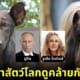 ปก 2 20 ภาพคนดังระดับโลกหน้าเหมือนสัตว์