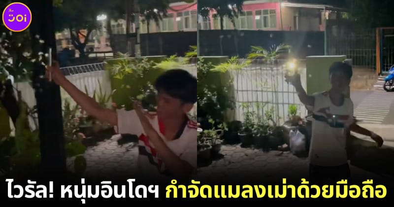 หนุ่มอินโดนีเซียล่อแมงเม่าสุดล้ำจนเป็นไวรัล