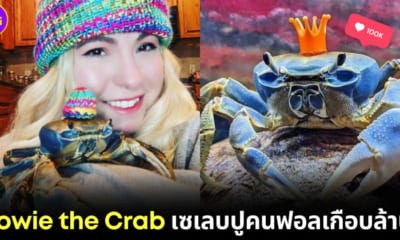 ปก Howie the Crab ปูสายรุ้งที่ดังที่สุดบนโลกโซเชียล