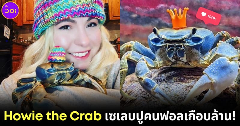 ปก Howie the Crab ปูสายรุ้งที่ดังที่สุดบนโลกโซเชียล