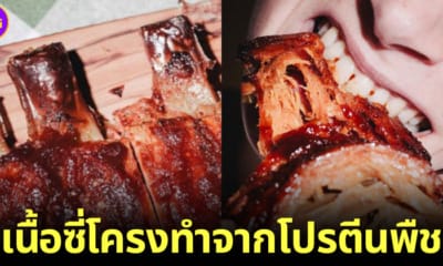 ปก Juicy Marbles เนื้อซี่โครงทำจากโปรตีนพืชแห่งแรกของโลก