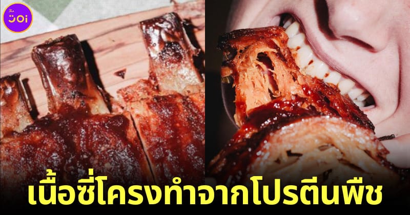 ปก Juicy Marbles เนื้อซี่โครงทำจากโปรตีนพืชแห่งแรกของโลก