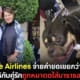 ปก singapore airlines ชดเชย หมาตดใส่ผู้โดยสาร