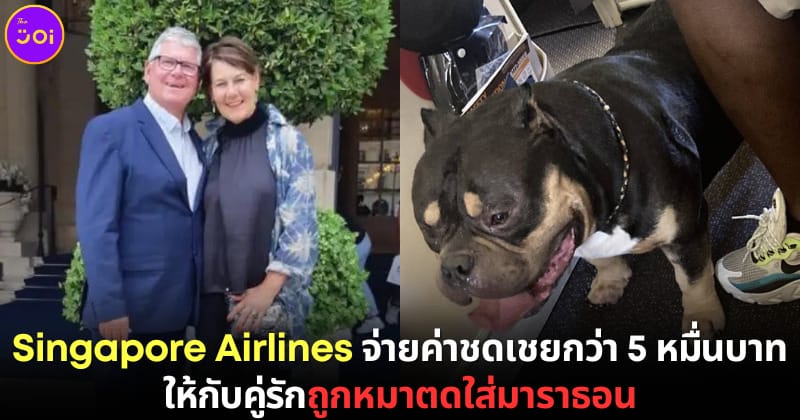 ปก singapore airlines ชดเชย หมาตดใส่ผู้โดยสาร