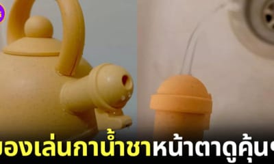 ปก ชุดของเล่นกาน้ำชาเหมือนอวัยวะเพศชายและหญิง