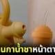 ปก ชุดของเล่นกาน้ำชาเหมือนอวัยวะเพศชายและหญิง