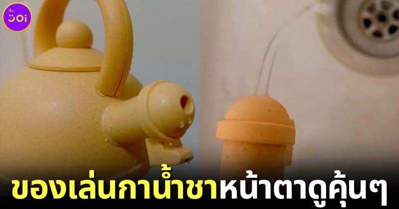 ปก ชุดของเล่นกาน้ำชาเหมือนอวัยวะเพศชายและหญิง