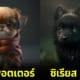 ปก ตัวละคร harry potter กลายเป็นลูกหมา