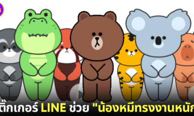 ปก สติ๊กเกอร์ LINE ช่วย น้องหมีทรงงานหนัก