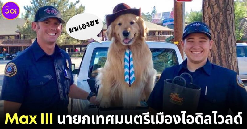ปก หมาเป็นนายกเทศมนตรีไอดิลไวลด์