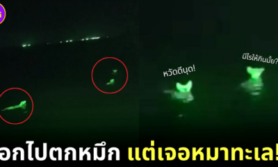 หนุ่มไทยออกไปตกหมึก