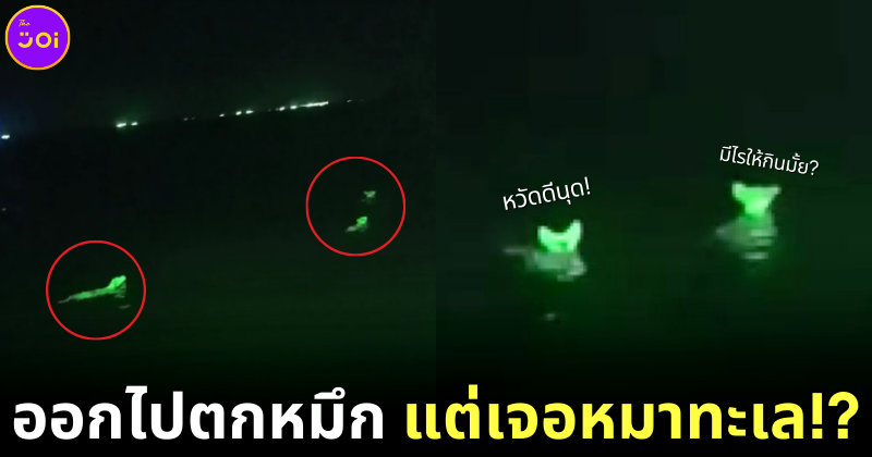 หนุ่มไทยออกไปตกหมึก