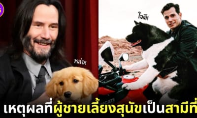 11 เหตุผลที่ผู้ชายเลี้ยงสุนัขเป็นสามีที่ดี