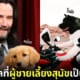 11 เหตุผลที่ผู้ชายเลี้ยงสุนัขเป็นสามีที่ดี