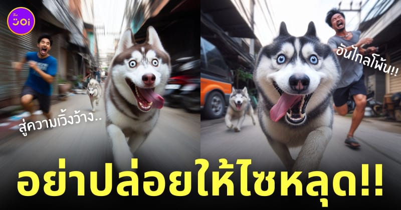 ai วาดรูปหมาไซบีเรียนฮัสกี้ อย่าปล่อยให้ไซหลุด
