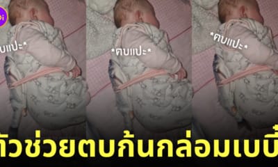 ตุ๊กตาปลาดิ้นได้ ตบตูดกล่อมลูกนอน
