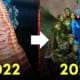 heidi klum ชุดฮาโลวีน 2023 นกยูง