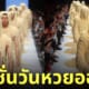แฟชั่นโชว์ บะหมี่กึ่งสำเร็จรูป