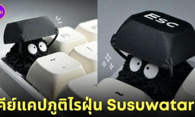 คีย์แคป ภูติไรฝุ่น Susuwatari อนิเมะ Spirited Away