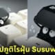 คีย์แคป ภูติไรฝุ่น Susuwatari อนิเมะ Spirited Away