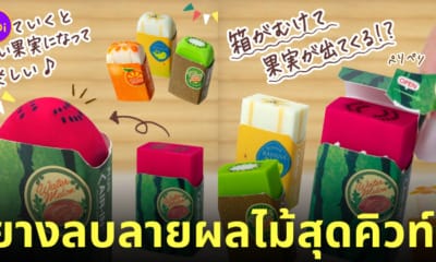 ยางลบลายผลไม้ เครื่องเขียน ญี่ปุ่น