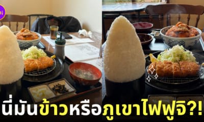 ชุดทงคัตสึ ข้าวเยอะ ญี่ปุ่น