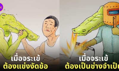 ภาพจระเข้ใช้ชีวิตแบบมนุษย์