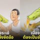 ภาพจระเข้ใช้ชีวิตแบบมนุษย์