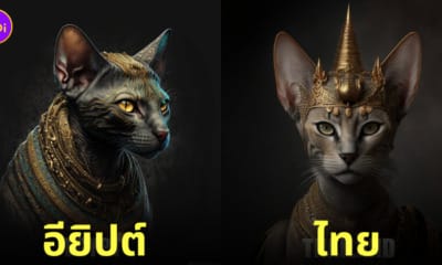 ภาพแมว คอสตูมประเทศต่าง ๆ aiart