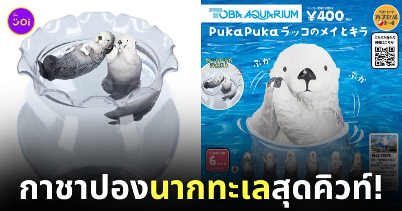 กาชาปองนากทะเลจากพิพิธภัณฑ์สัตว์น้ำโทบะ