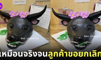 เค้กรูปควายกินหญ้าสมจริง