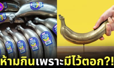 ค้อนกล้วยเหล็ก