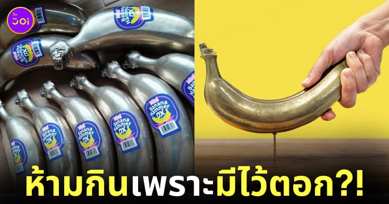 ค้อนกล้วยเหล็ก