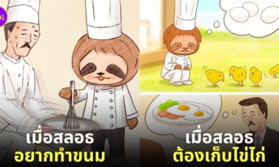 ภาพสลอธใช้ชีวิตแบบมนุษย์