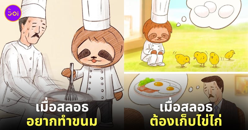 ภาพสลอธใช้ชีวิตแบบมนุษย์