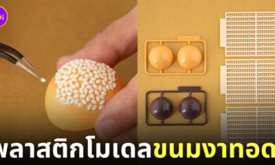 โมเดลขนมงาทอด Good Smile Company ญี่ปุ่น