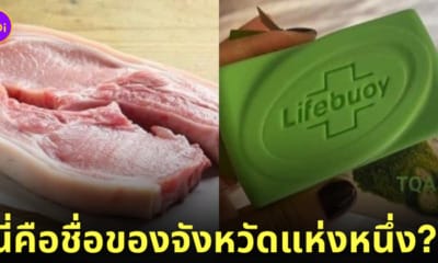 ภาพหมูกับสบู่ ปริศนาทายชื่อจังหวัด