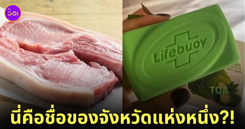 ภาพหมูกับสบู่ ปริศนาทายชื่อจังหวัด