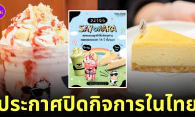 Farm Design Thailand ประกาศปิดกิจการในไทยทุกสาขา