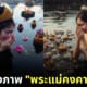 ภาพพระแม่คงคาร้องไห้ วันลอยกระทง aiart