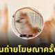 ภาพหมาชิบะถ่ายโฆษณาอาหารหมาครั้งแรก