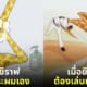 ภาพยีราฟใช้ชีวิตแบบมนุษย์
