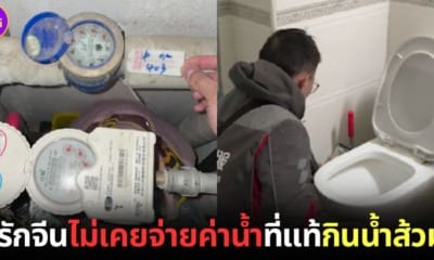 คู่รักจีนป่วยบ่อยโดยไม่ทราบสาเหตุ เพราะกินน้ำส้วมแทนน้ำประปา