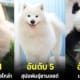 ปก 10 อันดับสัตว์ที่ตัวนิ่มที่สุดในโลกปี 2023
