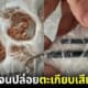 หนุ่มเวียดนาม ตะเกียบ เสียบสมอง