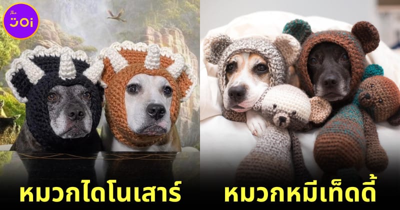 ปก 20 หมวกโครเชต์แฟนซีของ Sookie and Ivy